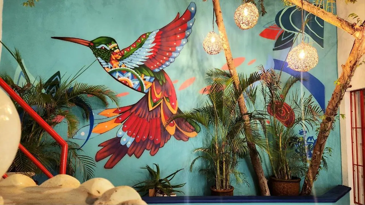 Linda Vecindad Playa Del Carmen Ξενοδοχείο